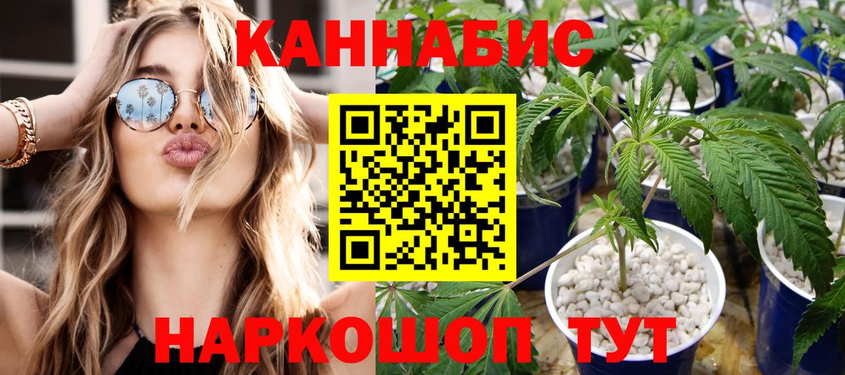 Каннабис SATIVA & INDICA  Шишки марихуана OG Kush  Белогорск  Вход с VPN  Каннабис ГИДРОПОН 
